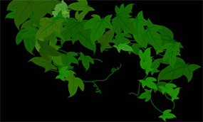 绿色桑叶flash矢量动画